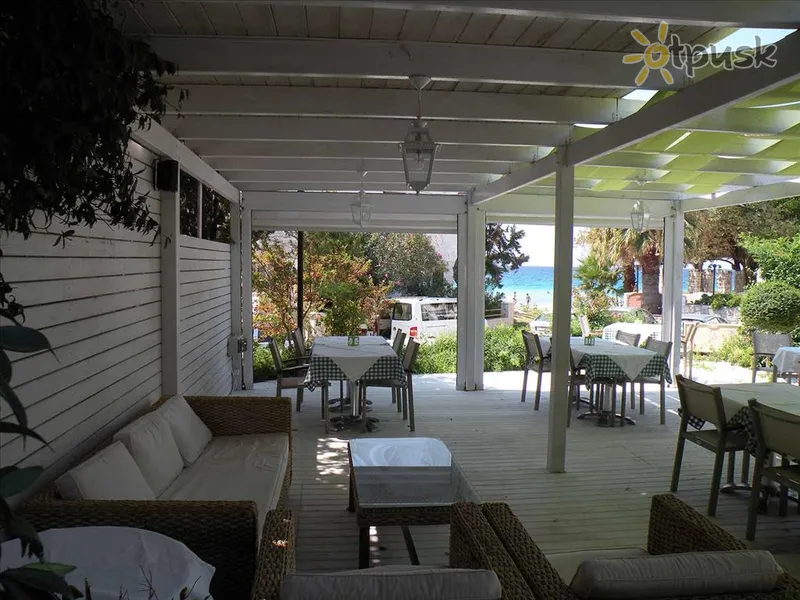 Фото отеля Ioli Apartments Fourka Beach 2* Халкидики – Кассандра Греция бары и рестораны