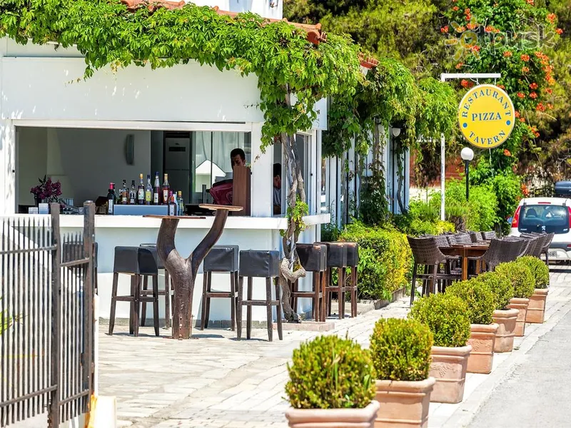 Фото отеля Xenios Dolphin Beach Hotel 3* Chalkidikė – Kasandra Graikija barai ir restoranai