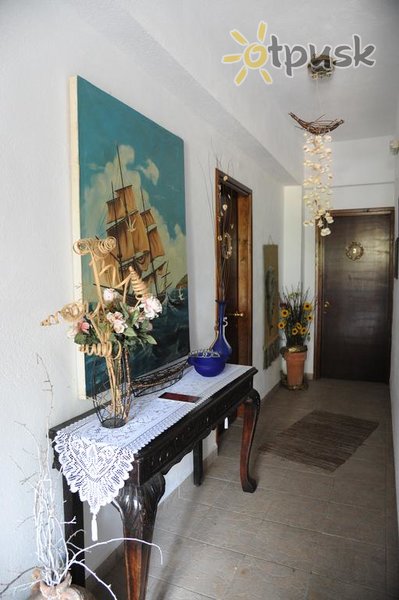 Фото отеля Thalassa Hotel 2* Халкидики – Афон Греция прочее