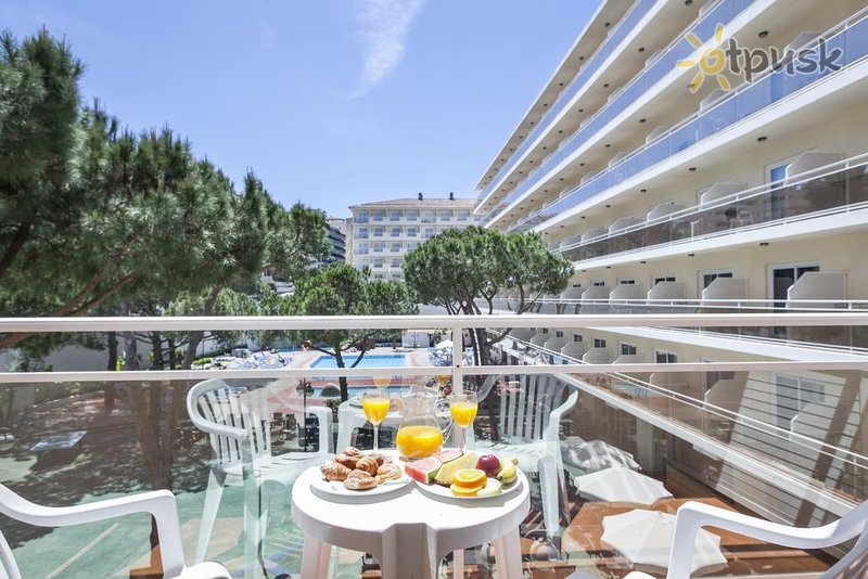 Фото отеля Oasis Park Hotel 4* Коста Дорада Испания номера