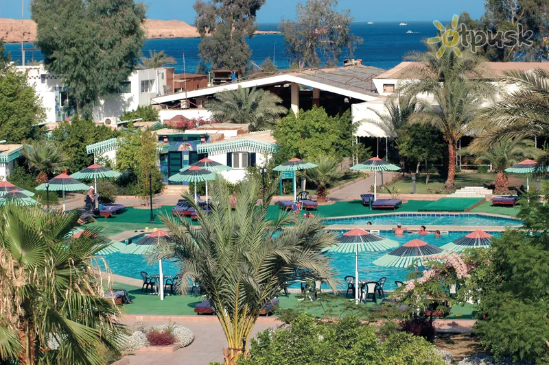 Фото отеля Ghazala Beach Hotel 4* Шарм ель шейх Єгипет екстер'єр та басейни