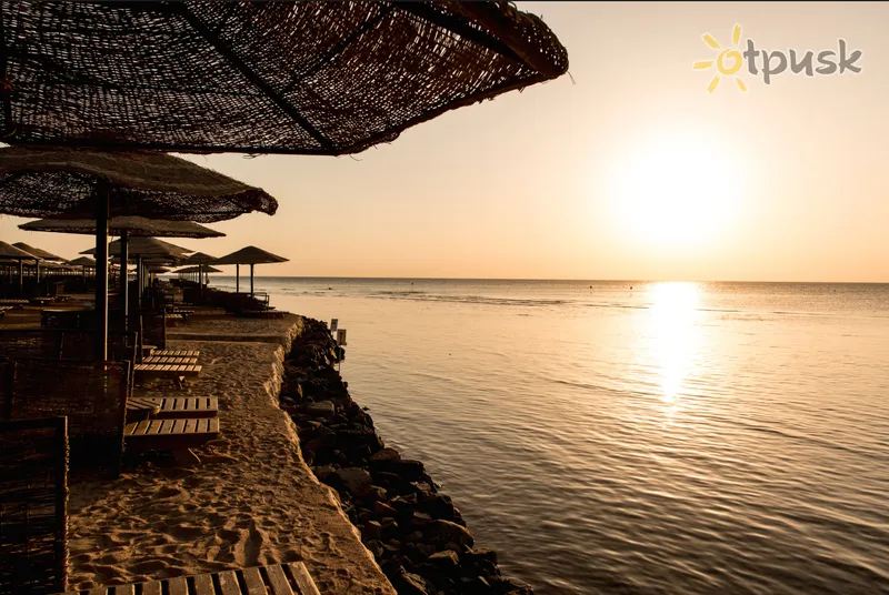 Фото отеля Makadi Palace 5* Макади Бей Египет пляж