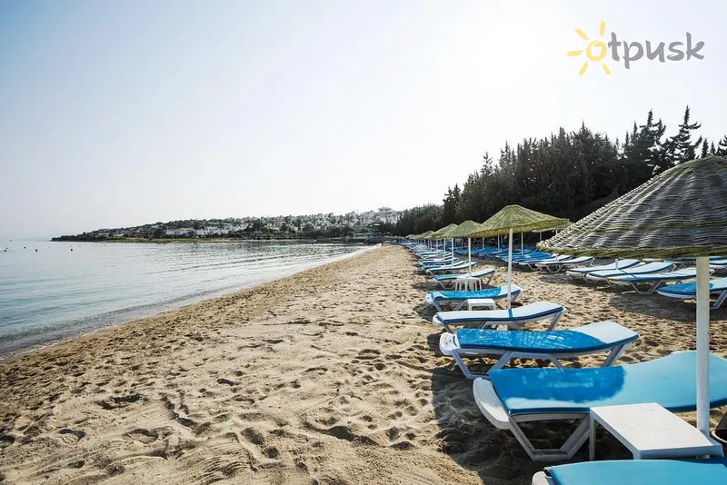 Фото отеля Altin Yunus Apart Beach Plus 5* Чешме Турция пляж