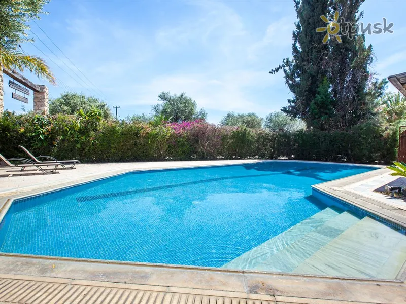 Фото отеля Olive Grove 2 3* Пафос Кіпр екстер'єр та басейни