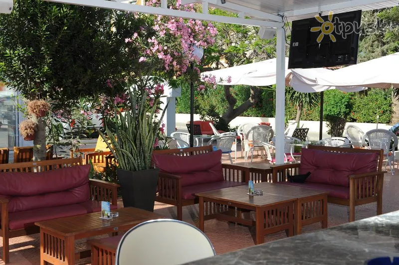 Фото отеля Alexia Hotel Apt 2* Айя Напа Кипр бары и рестораны