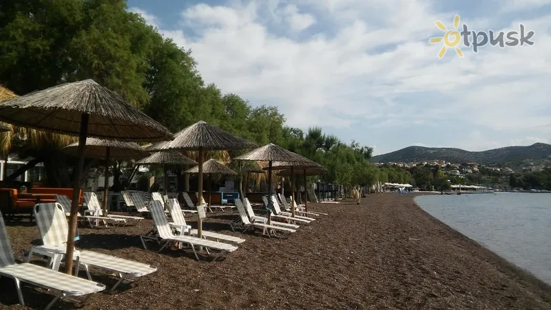 Фото отеля Tokalis Boutique Hotel & Spa 2* Волос Греция пляж