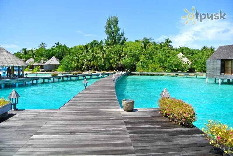 Фото отеля Gangehi Island Resort & Spa 5* Ари (Алифу) Атолл Мальдивы экстерьер и бассейны