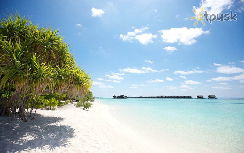 Фото отеля LUX* South Ari Atoll 5* Ари (Алифу) Атолл Мальдивы пляж