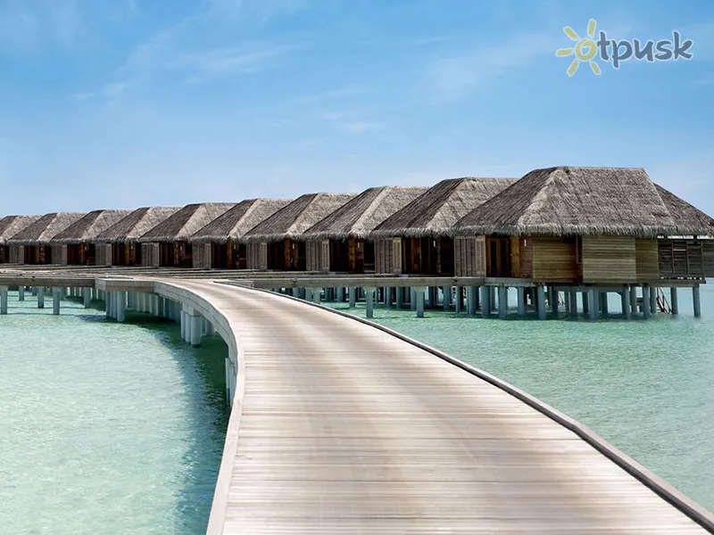 Фото отеля LUX* South Ari Atoll 5* Арі (Аліфу) Атол Мальдіви екстер'єр та басейни