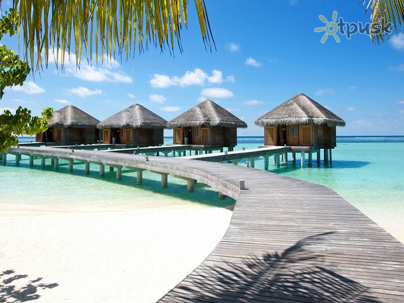 Фото отеля LUX* South Ari Atoll 5* Ари (Алифу) Атолл Мальдивы экстерьер и бассейны