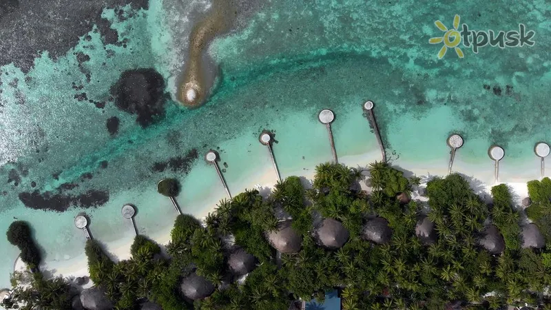 Фото отеля Nika Island Resort 5* Ари (Алифу) Атолл Мальдивы экстерьер и бассейны