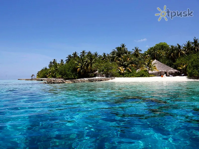 Фото отеля Nika Island Resort 5* Ari (Alifu) atols Maldīvija ārpuse un baseini