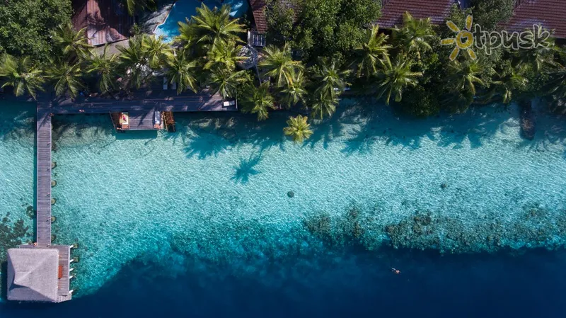 Фото отеля Ranveli Island Resort 4* Ари (Алифу) Атолл Мальдивы экстерьер и бассейны
