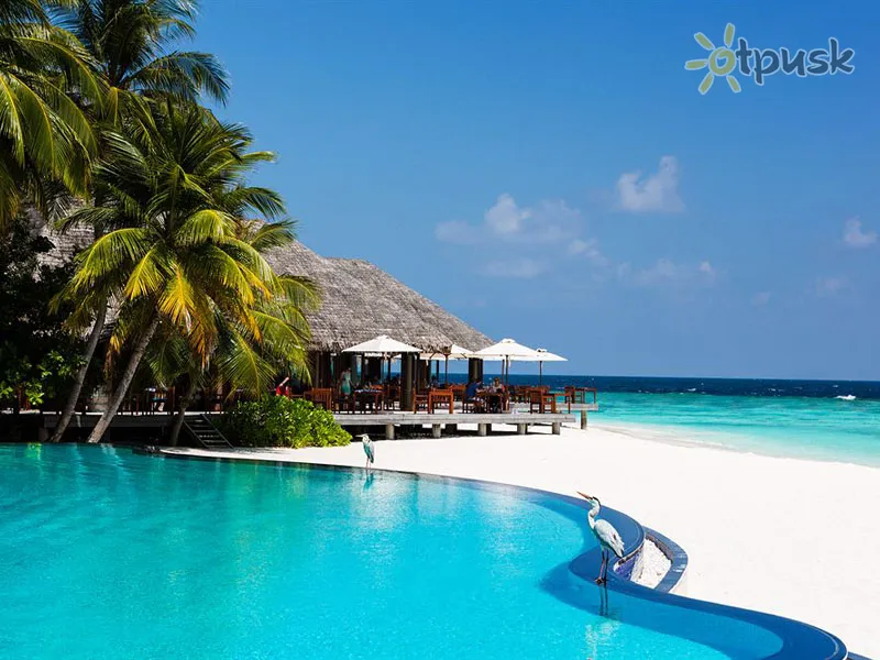 Фото отеля Veligandu Island Resort & Spa 5* Ari (Alifu) atols Maldīvija ārpuse un baseini