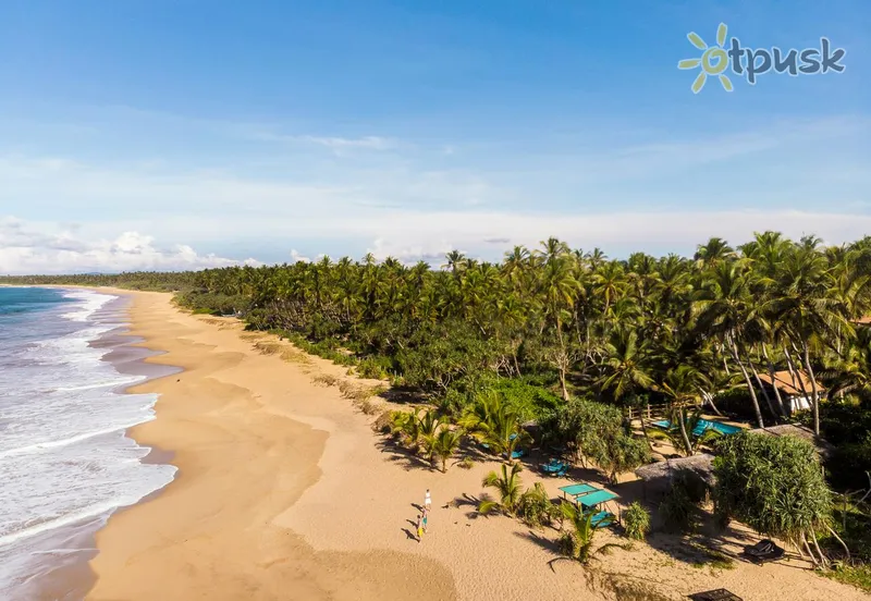 Фото отеля Seven Turtles 4* Тангалле Шри-Ланка пляж