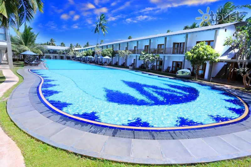 Фото отеля Carolina Beach Hotel 3* Чилау Шри-Ланка номера