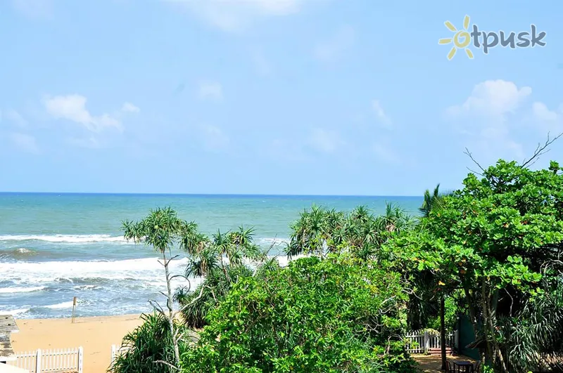 Фото отеля Green Shadows Beach Hotel 2* Kalutara Šri Lanka papludimys