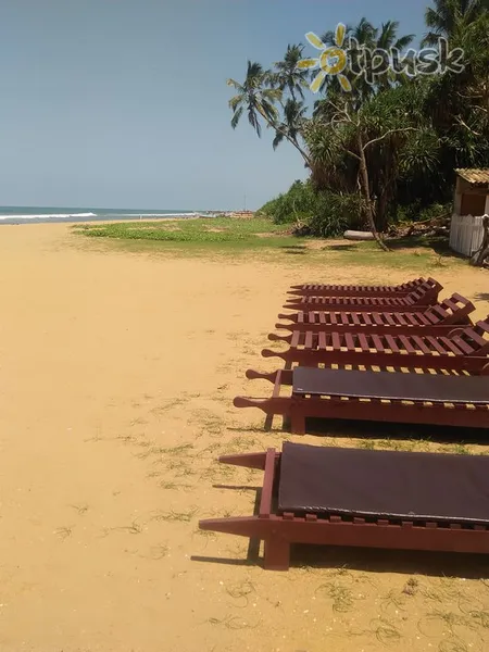 Фото отеля Green Shadows Beach Hotel 2* Калутара Шрі Ланка пляж