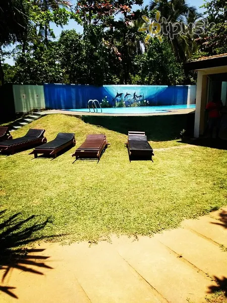 Фото отеля Green Shadows Beach Hotel 2* Kalutara Šri Lanka išorė ir baseinai