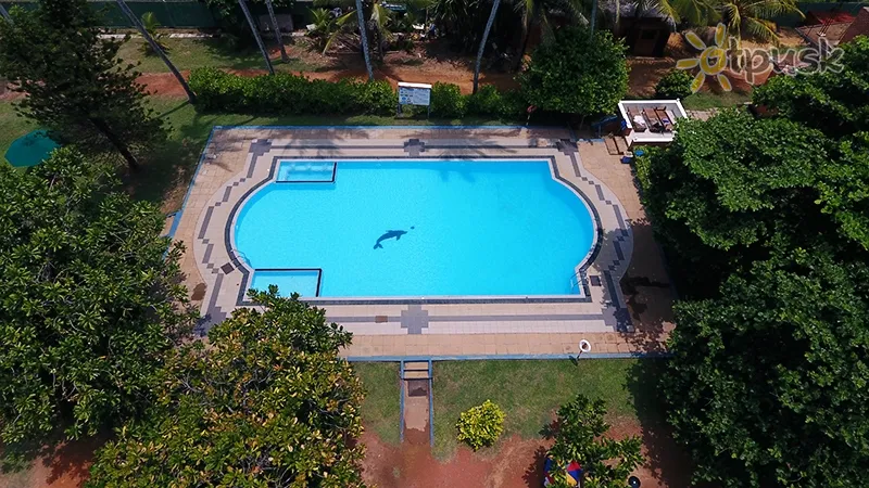 Фото отеля Laya Beach 3* Ваддува Шрі Ланка екстер'єр та басейни