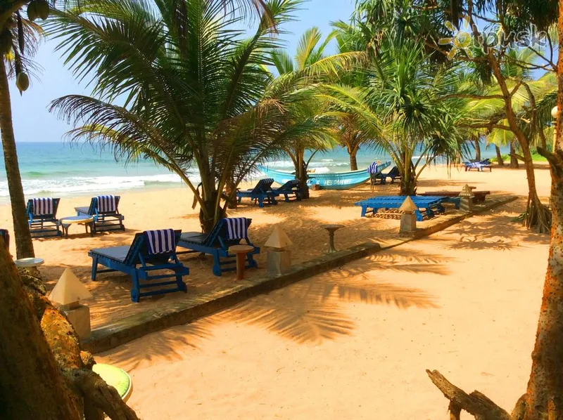 Фото отеля Oasey Beach Hotel 3* Індурува Шрі Ланка пляж