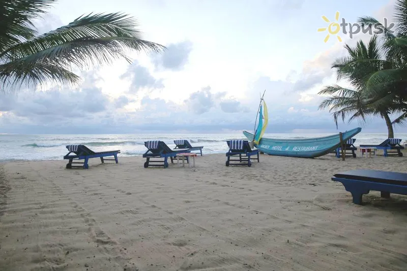 Фото отеля Oasey Beach Hotel 3* Индурува Шри-Ланка пляж