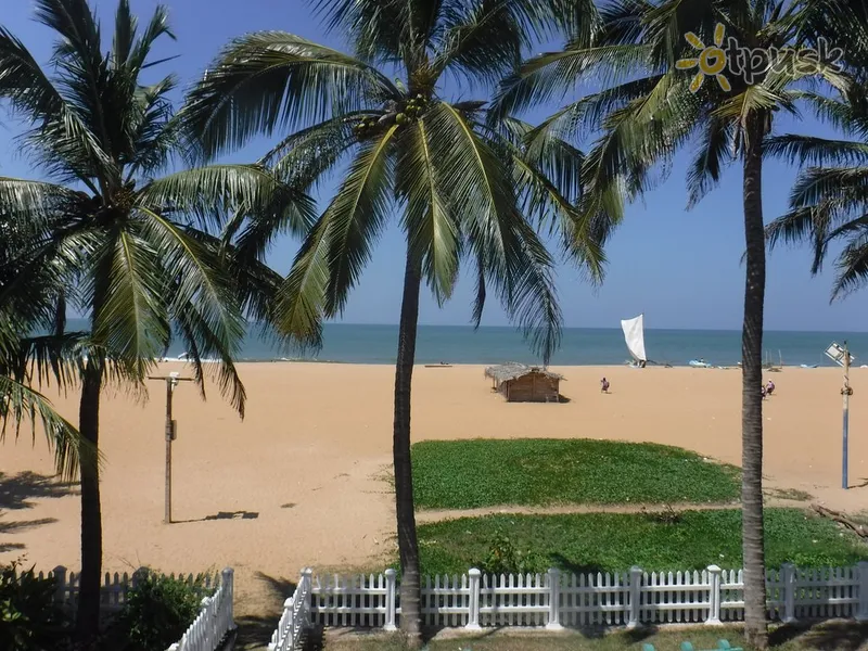 Фото отеля Oasis Beach Resort 3* Негомбо Шри-Ланка пляж