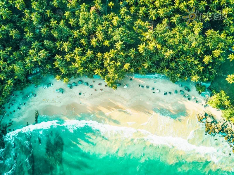 Фото отеля Palm Paradise Cabanas & Villas 2* Тангалле Шрі Ланка пляж