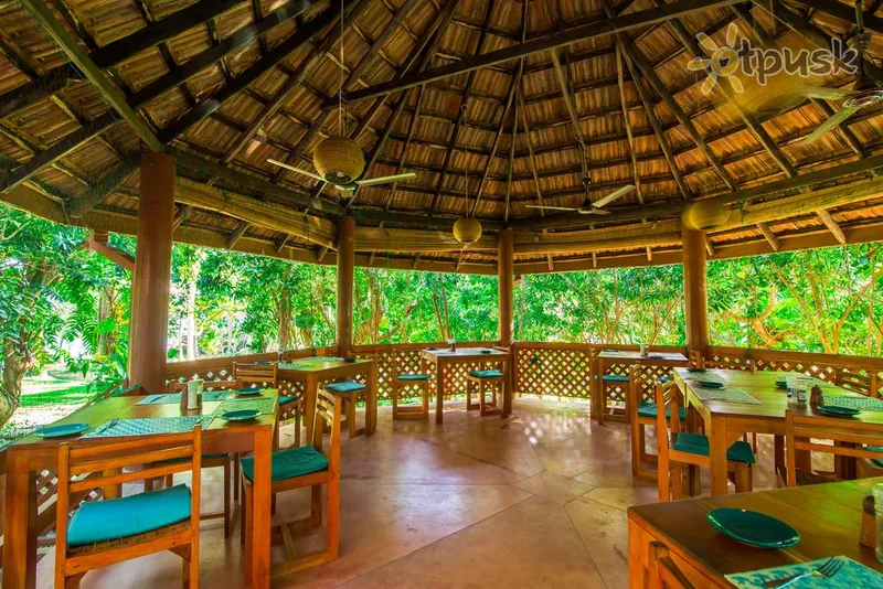 Фото отеля Palm Paradise Cabanas & Villas 2* Tangalle Šri Lanka barai ir restoranai