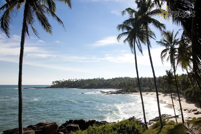 Фото отеля Palm Paradise Cabanas & Villas 2* Tangalle Šri Lanka papludimys