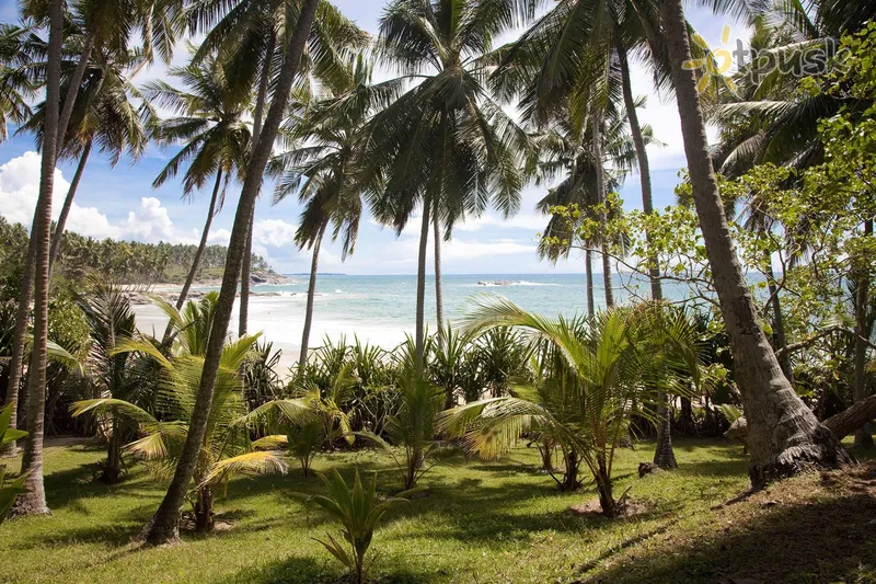 Фото отеля Palm Paradise Cabanas & Villas 2* Тангалле Шри-Ланка экстерьер и бассейны