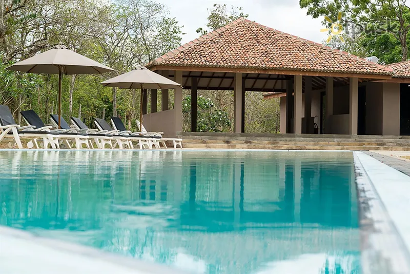 Фото отеля Palm Paradise Cabanas & Villas 2* Тангалле Шрі Ланка екстер'єр та басейни