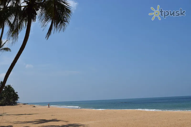 Фото отеля Sanmali Beach Hotel 2* Маравіла Шрі Ланка пляж