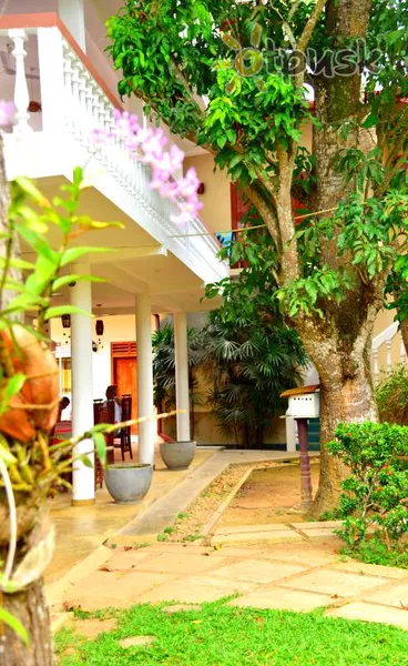 Фото отеля Sea Breeze Guesthouse 2* Unavatuna Šrilanka ārpuse un baseini