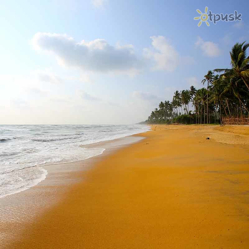 Фото отеля Siddhalepa Ayurveda Health Resort 4* Ваддува Шрі Ланка пляж