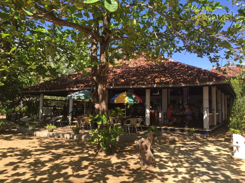 Фото отеля Stardust Beach Hotel 3* Arugamo įlanka Šri Lanka barai ir restoranai