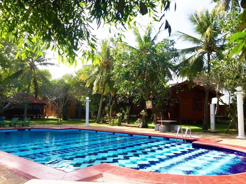 Фото отеля Ypsylon Tourist Resort 2* Берувела Шри-Ланка экстерьер и бассейны