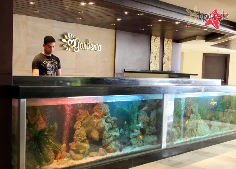 Фото отеля Bosque Hotel Hurghada 4* Хургада Египет лобби и интерьер
