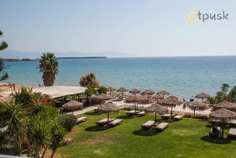 Фото отеля Golden Beach Hotel 3* о. Парос Греція пляж
