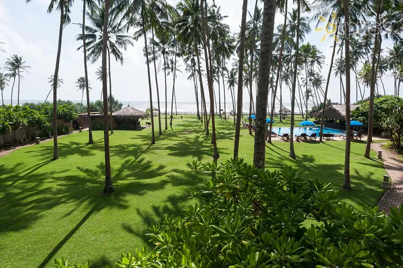 Фото отеля Reef Villa & Spa 5* Wadduwa Šrilanka ārpuse un baseini
