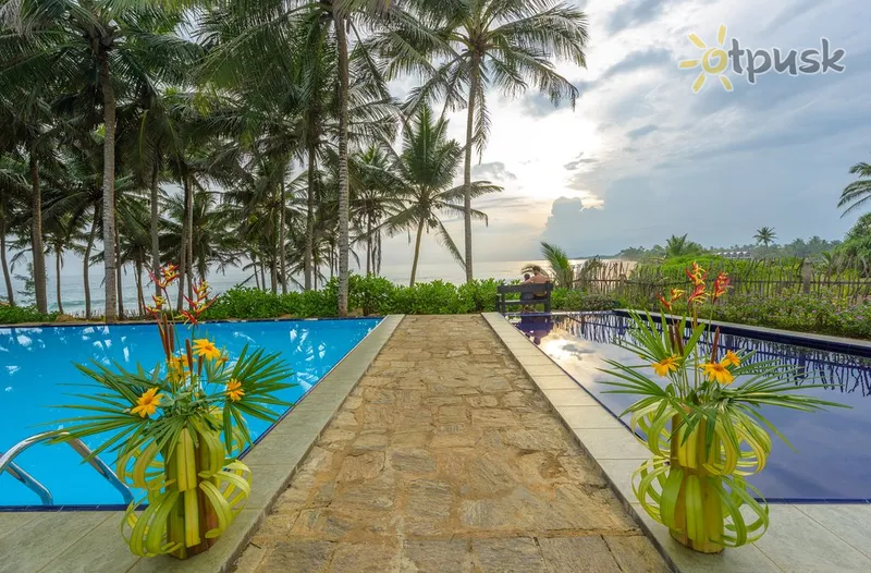 Фото отеля Turtle Bay Boutique 4* Тангалле Шрі Ланка екстер'єр та басейни