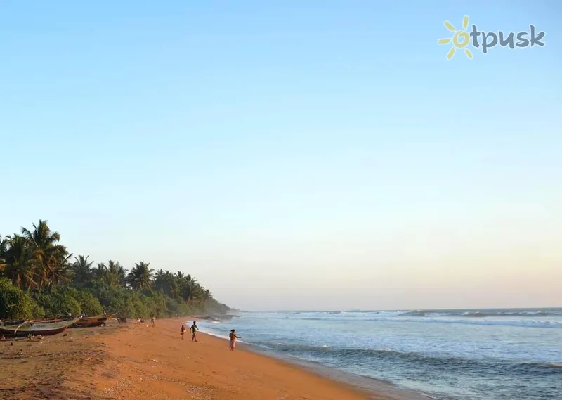 Фото отеля Whispering Shells Villa 2* Калутара Шри-Ланка пляж