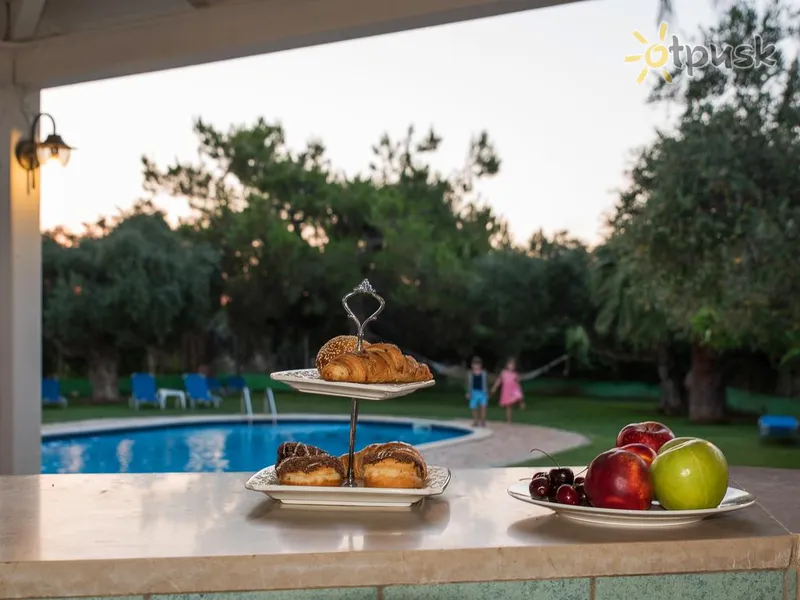 Фото отеля Ibiscus Hotel Malia 1* Kreta – Heraklionas Graikija barai ir restoranai