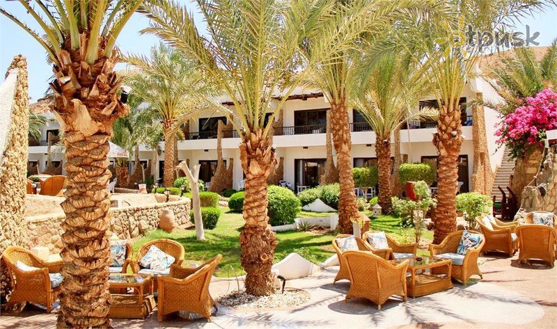 Фото отеля Turquoise Beach Hotel 4* Шарм эль Шейх Египет бары и рестораны