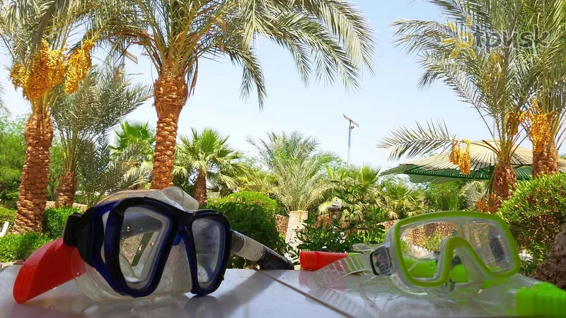 Фото отеля Turquoise Beach Hotel 4* Шарм эль Шейх Египет спорт и досуг