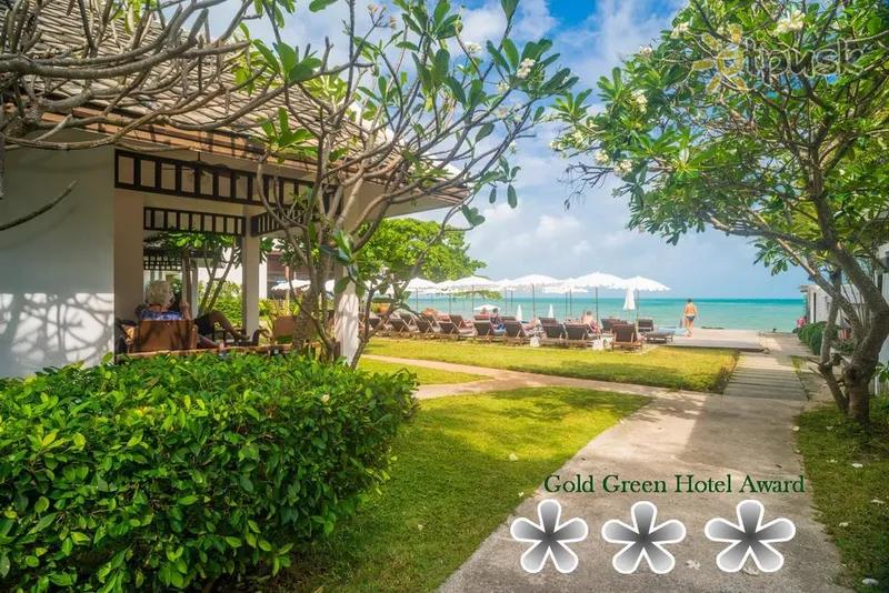 Фото отеля Lamai Wanta Beach Resort 3* о. Самуї Таїланд екстер'єр та басейни