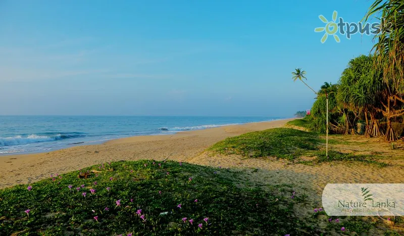 Фото отеля Nature Lanka Ayurveda Resort 2* Тангалле Шрі Ланка пляж
