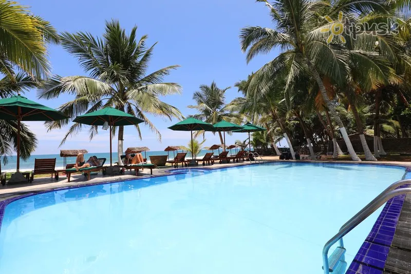 Фото отеля Joe's Resort Bentota 3* Bentota Šrilanka ārpuse un baseini