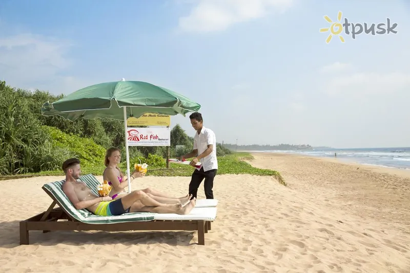 Фото отеля Palm Beach Inn & Sea Shells Cabanas 3* Бентота Шрі Ланка пляж