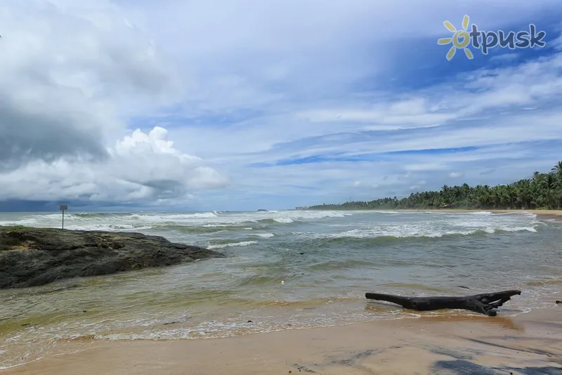 Фото отеля Magnolia Beach Hotel 2* Бентота Шрі Ланка пляж